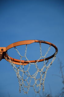 爱游戏官网-NBA球队球员培养规划设计,nba对球员的要求是什么