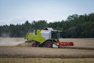 爱游戏体育账号注册-田径跨项目交流营探索协同训练新方式，田径跨栏的动作讲解
